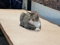 -袁妈红豆汤(重庆总店)