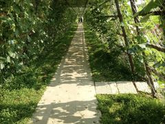 -北纬44度·金珠花海休闲农业旅游景区