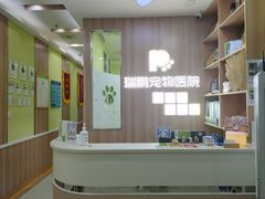 -瑞鹏宠物医院·宠保定点·心脏科·内科(御桥分院)