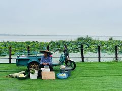 -七的湖·晚芳亭·阳澄湖农家菜·大闸蟹(莲花岛店)