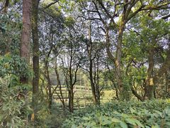 -西湖风景区十里琅珰-五云山