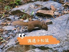 -北京上方山国家森林公园