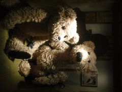 -济州岛泰迪熊博物馆