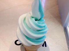 -NOME(太阳百货店)