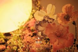 -美薇亭婚礼顾问