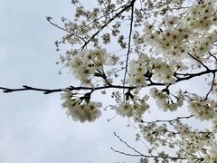 -漕湖湿地公园