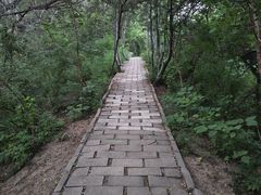 -元大都城垣遗址公园