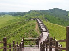 -乌兰布统草原