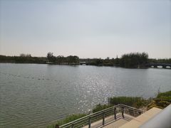 -大兴滨河森林公园