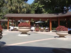 -碧水湾温泉