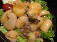 -春草居酒屋·晴子の店