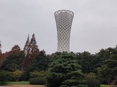 -上海滨江森林公园