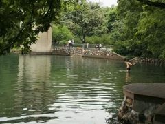-紫霞湖公园