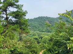 -灵岩山风景区