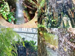 -正佳雨林生态植物园