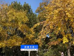 -八大关景区