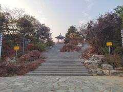 -大兴滨河森林公园