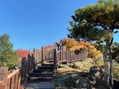 -北京十三陵国家森林公园蟒山景区