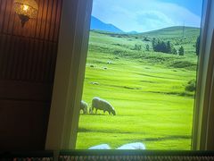 -天山传奇新疆菜(SKLP店)
