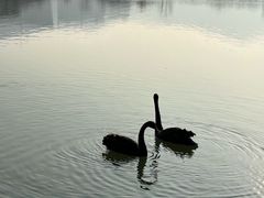 -长兴太湖图影湿地文化园