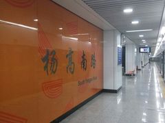 -杨高南路(地铁站)