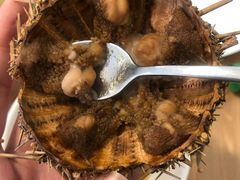 -海胆小馆(东北水饺·春柳店)