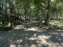 -天目湖山水园