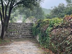 -原山国家森林公园