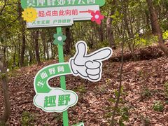 -雨花胜境