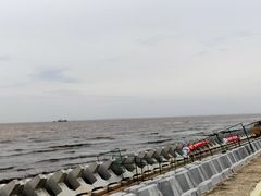 -阿尔法海鲜排档(爱琴海店)