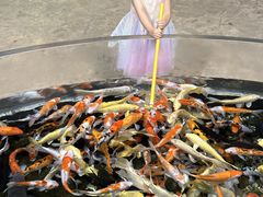 -福州罗源湾海洋世界旅游区