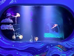 -欢乐海岸海洋奇梦馆