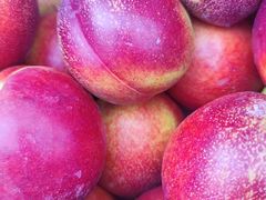 -四季水果蔬菜园(闽江路店)