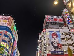 -秋叶原电器街