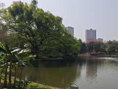 -晓港公园