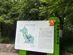 -西湖风景区-江洋畈生态公园