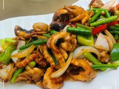 酱爆八爪鱼-金丝饭庄(金丝新天地保障性住宅小区店)
