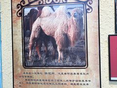 -格日勒阿妈蒙古厨房(大召店)