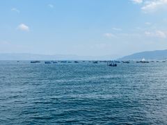 -抚仙湖禄充风景区