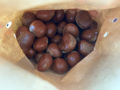 -小叶佳栗子(昌平店)