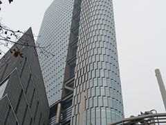 -紫峰大厦
