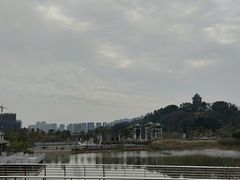 -王借岗森林公园
