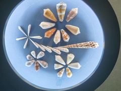 -中国湿地博物馆