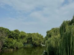 -同里国家湿地公园