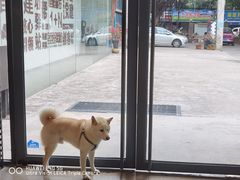 -微焙咖啡工厂(海峡创意产业园·红坊店)