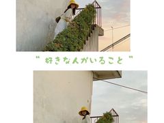 -海堤纪念公园