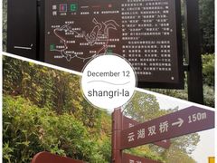 -重庆彩云湖湿地公园