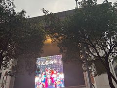 -芙蓉国粹川剧变脸秀(省川剧院)