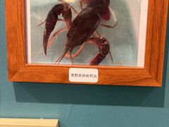 -雨林宠物医院 非犬猫异宠专科