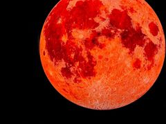 -芭乐量贩KTV(银湖路店)